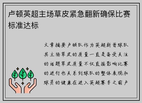 卢顿英超主场草皮紧急翻新确保比赛标准达标 卢顿英超主场草皮紧急翻新确保比赛标准达标